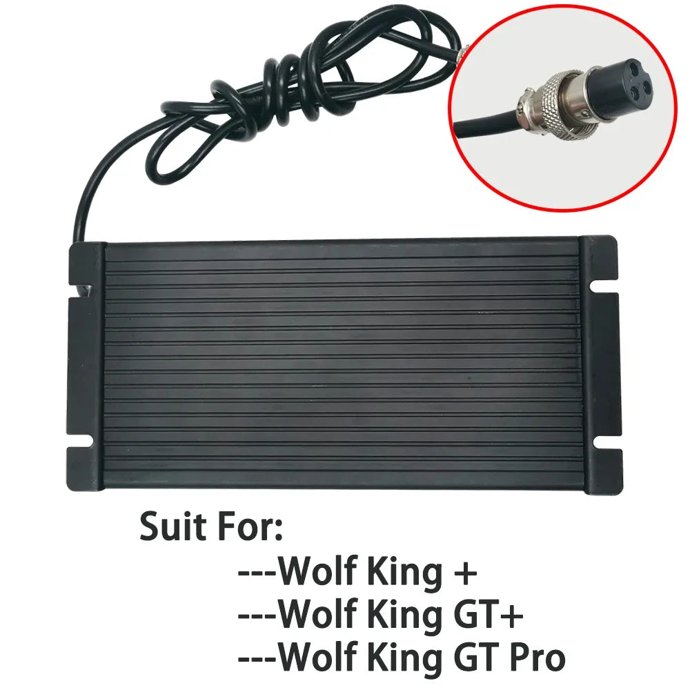 Kaabo Wolf King GT Pro / GTR Fast Charger 84V 5A for 72V - ERide Hub