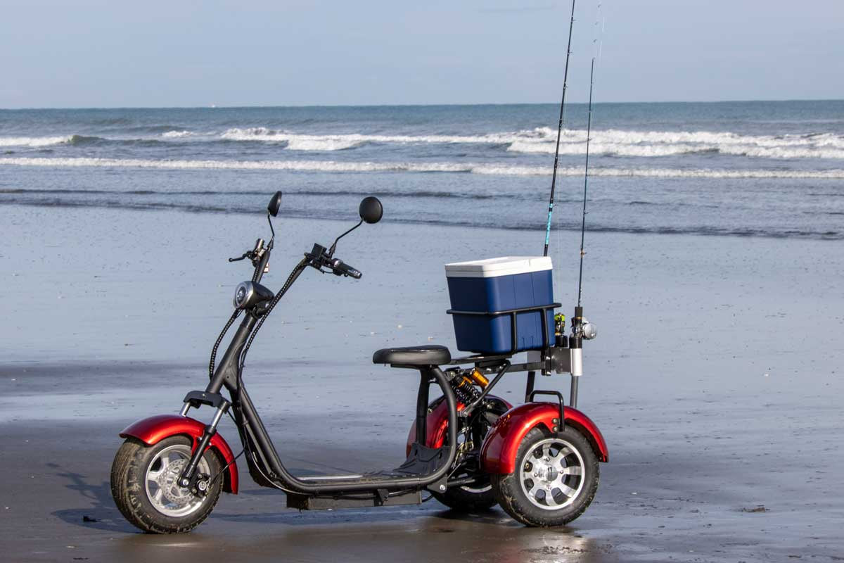 Electric Trike with Golf/Fishing setup - ERide Hub