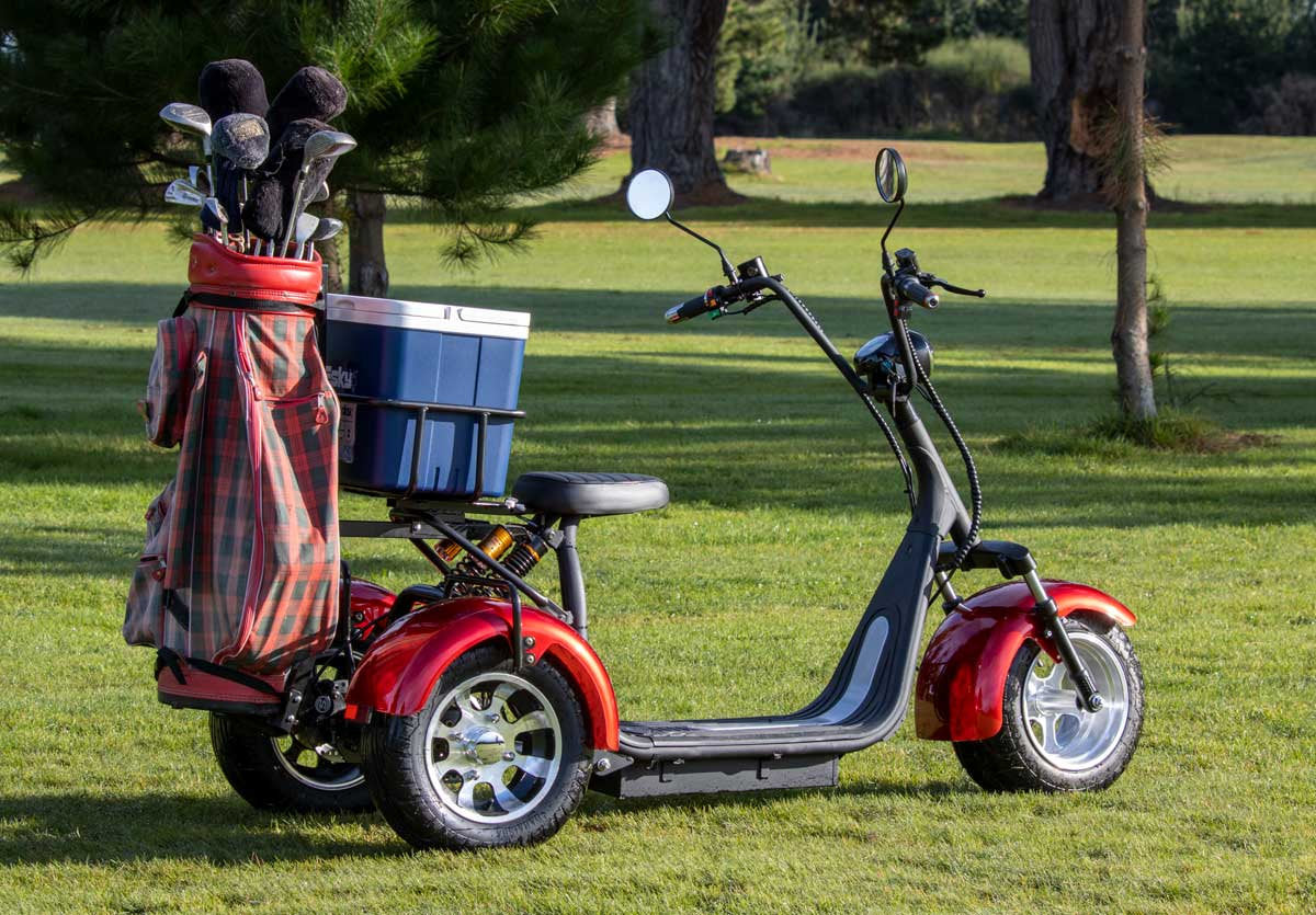 Electric Trike with Golf/Fishing setup - ERide Hub