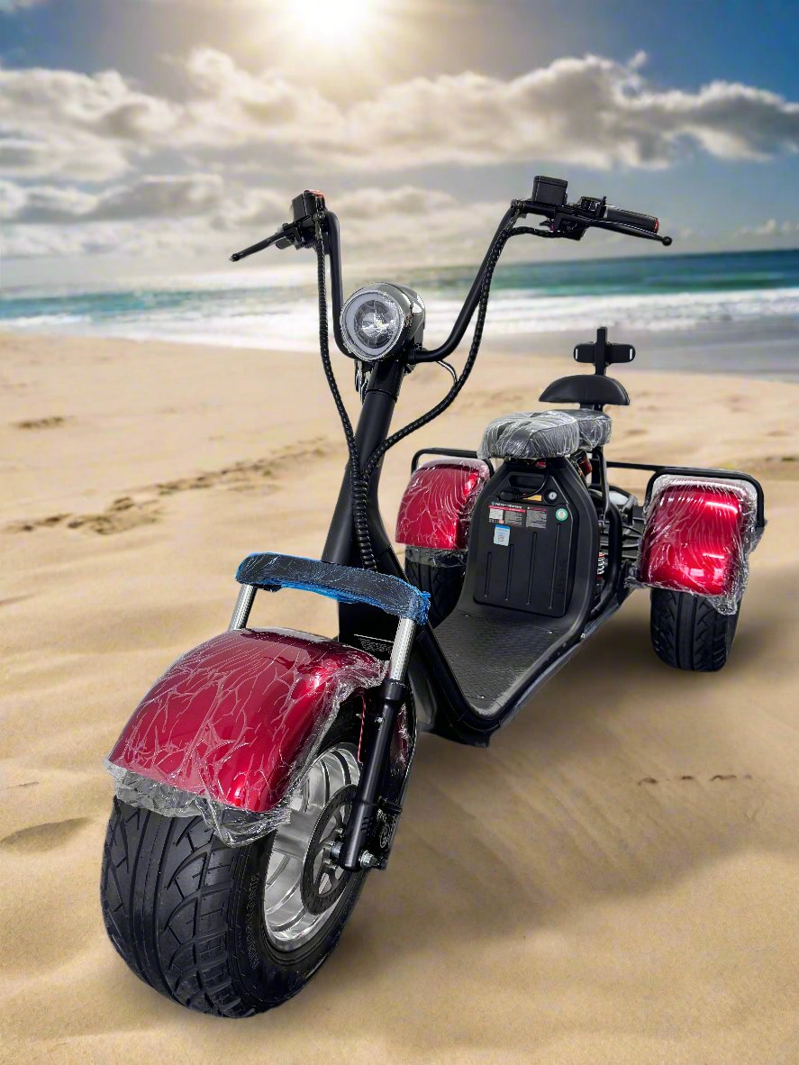 Electric Trike with Golf/Fishing setup - ERide Hub