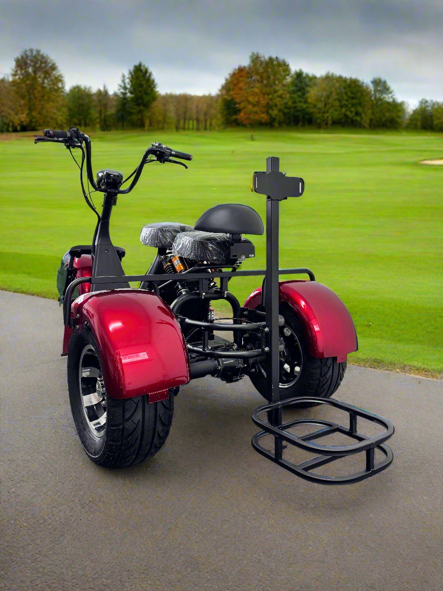 Electric Trike with Golf/Fishing setup - ERide Hub