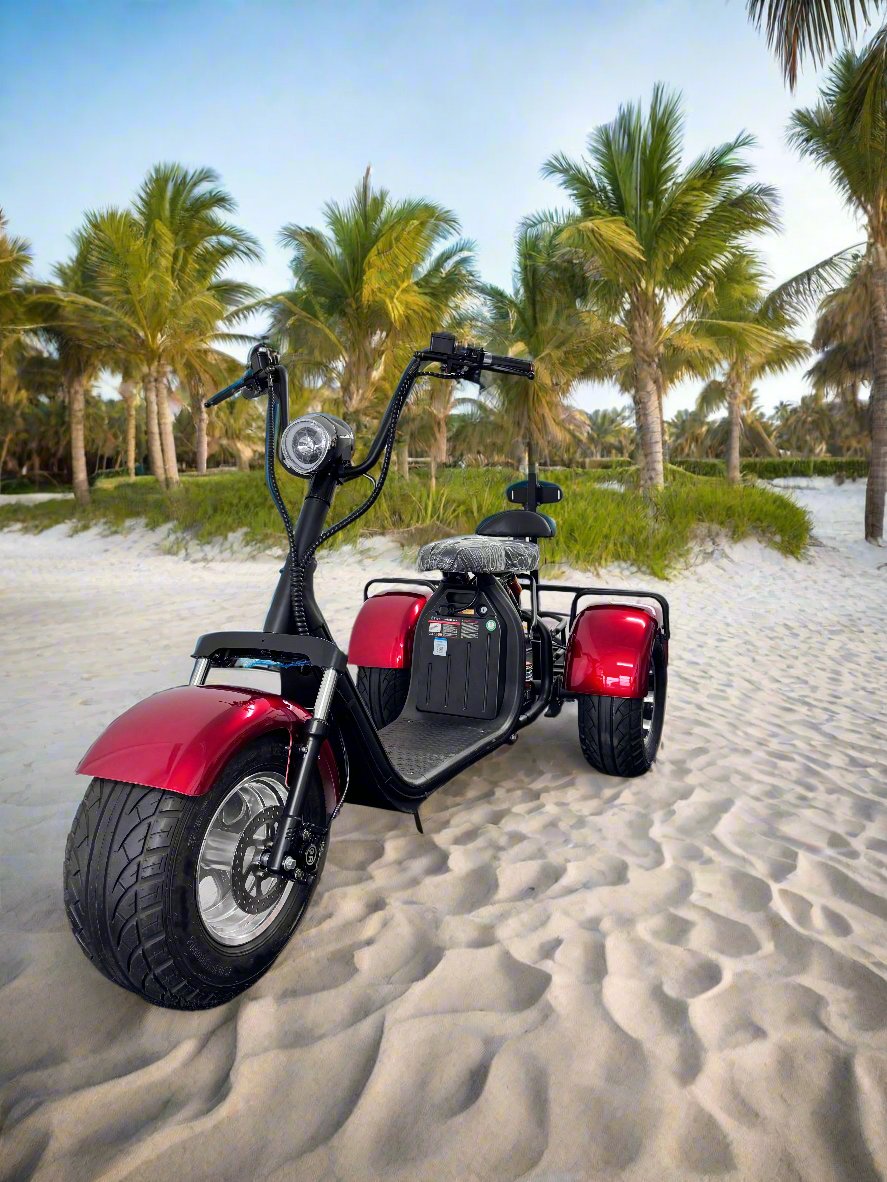 Electric Trike with Golf/Fishing setup - ERide Hub