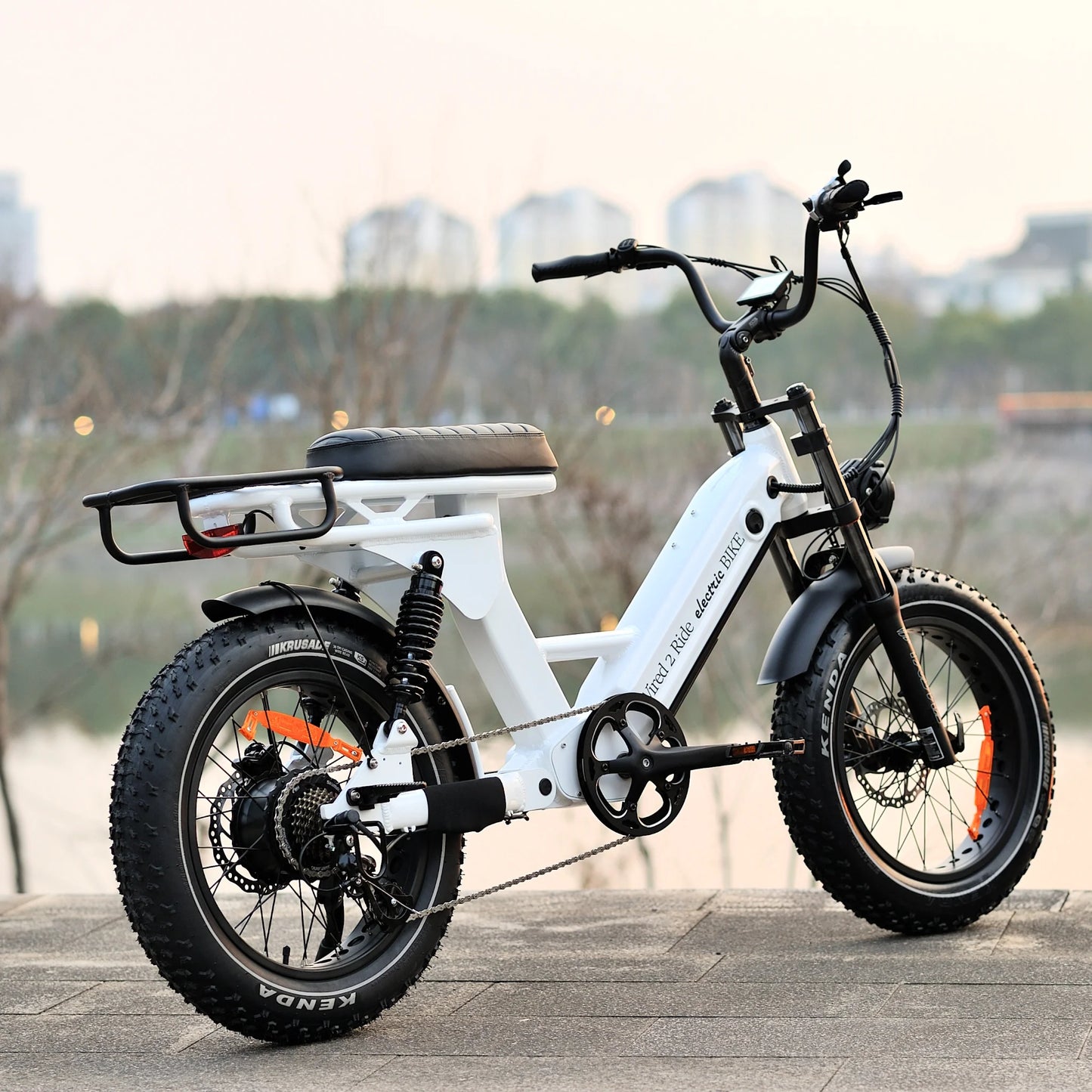 Jewel Cruiser- 750