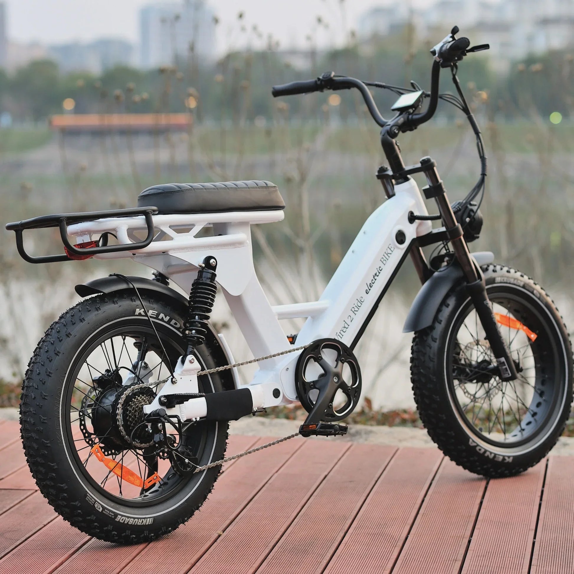 Jewel Cruiser 750W Electric Bike