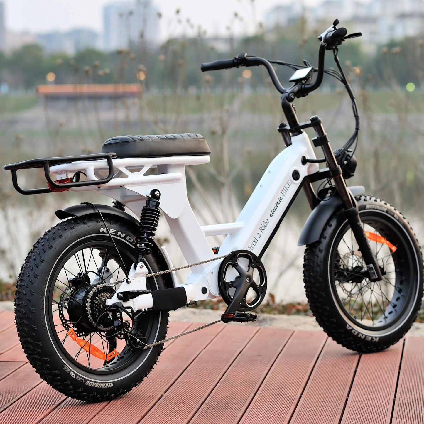 Jewel Cruiser- 750