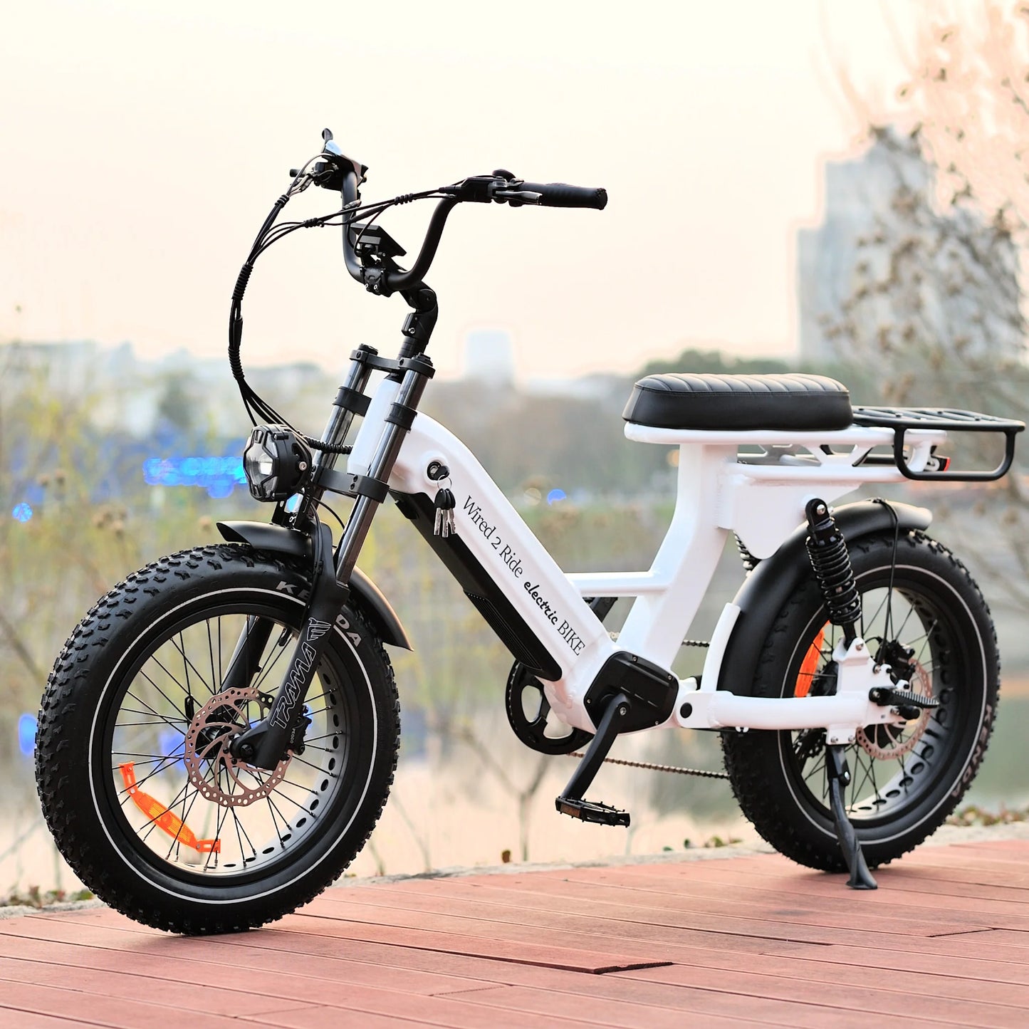 Jewel Cruiser- 750
