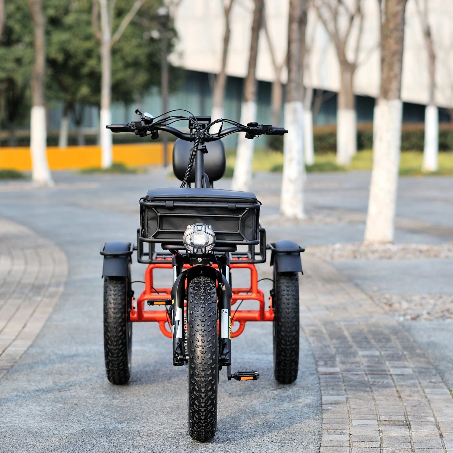 E-Trike Model T3