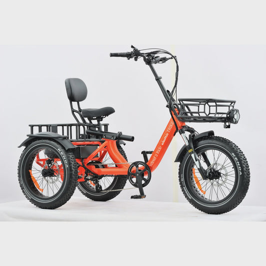 E-Trike Model T3