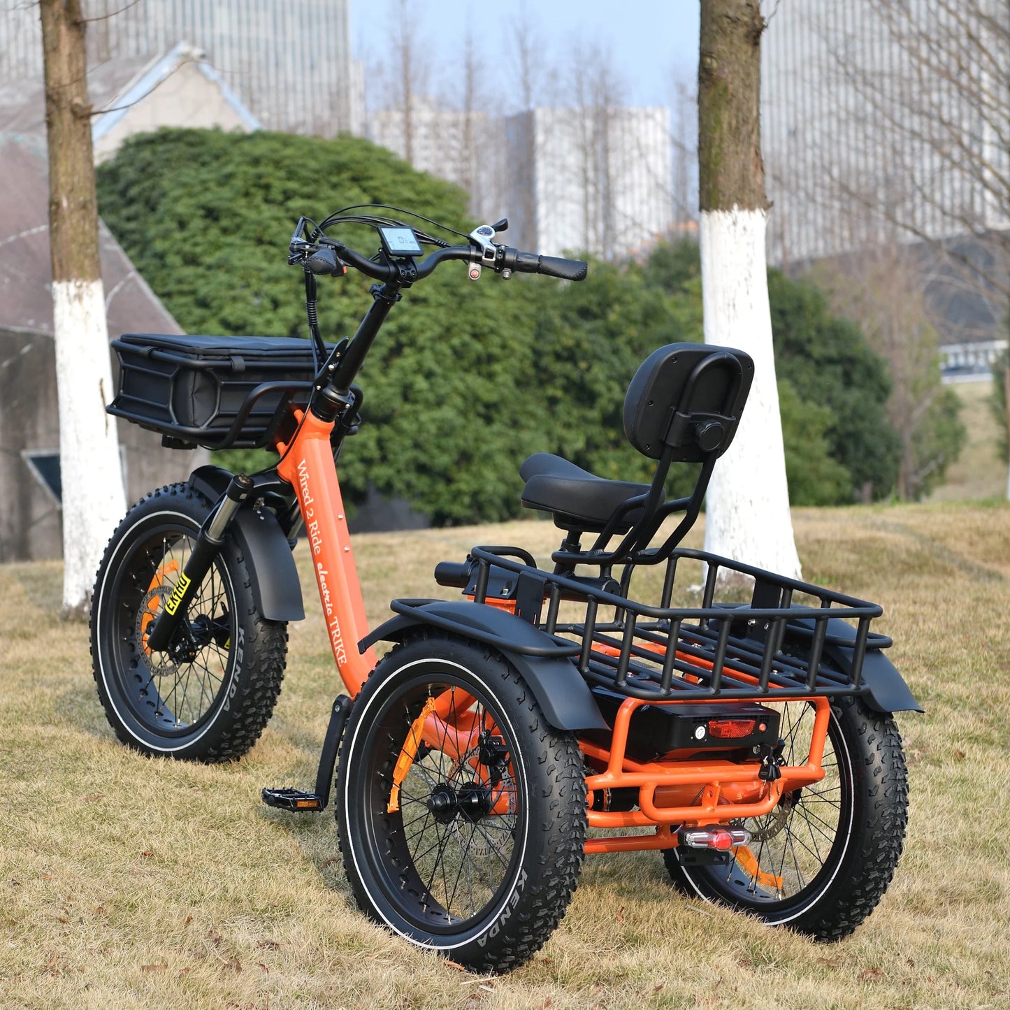 E-Trike Model T3
